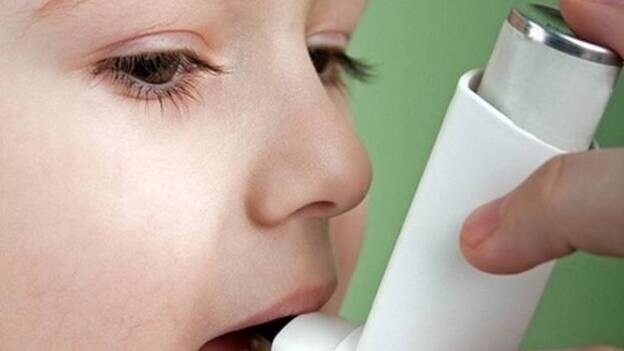 Barcelona albergará en mayo un congreso sobre alergia y asma infantil