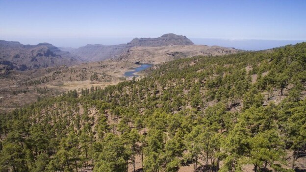 El Cabildo retoma la idea de crear el quinto parque nacional canario
