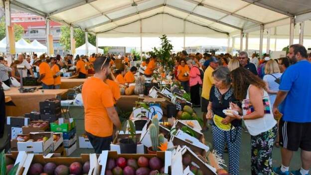 La IV Feria del Mango y el Aguacate de Verano de Mogán contará 8 toneladas