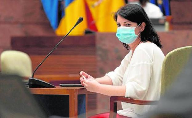 Yolanda Iratxe Serrano, responsable de Infancia en el Gobierno canario, en el Parlamento. /EFE