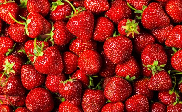 Lidl compró 139 toneladas de fresas y arándanos de Canarias el pasado año