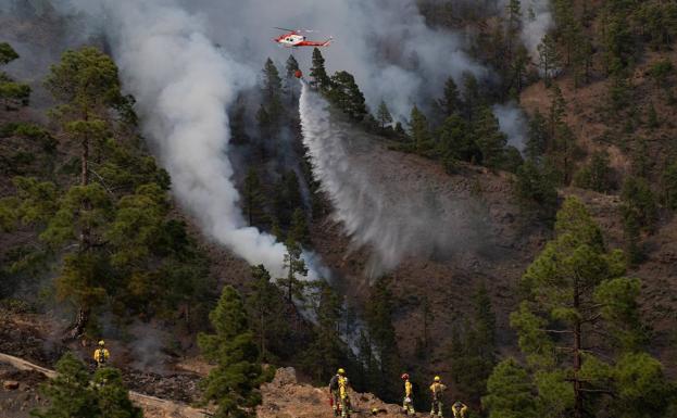 El Incendio De Arico En Vias De Ser Controlado Canarias7