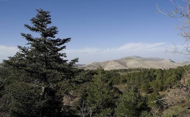 Imagen de archivo del nuevo Parque Nacional Sierra de las Nieves./SUR