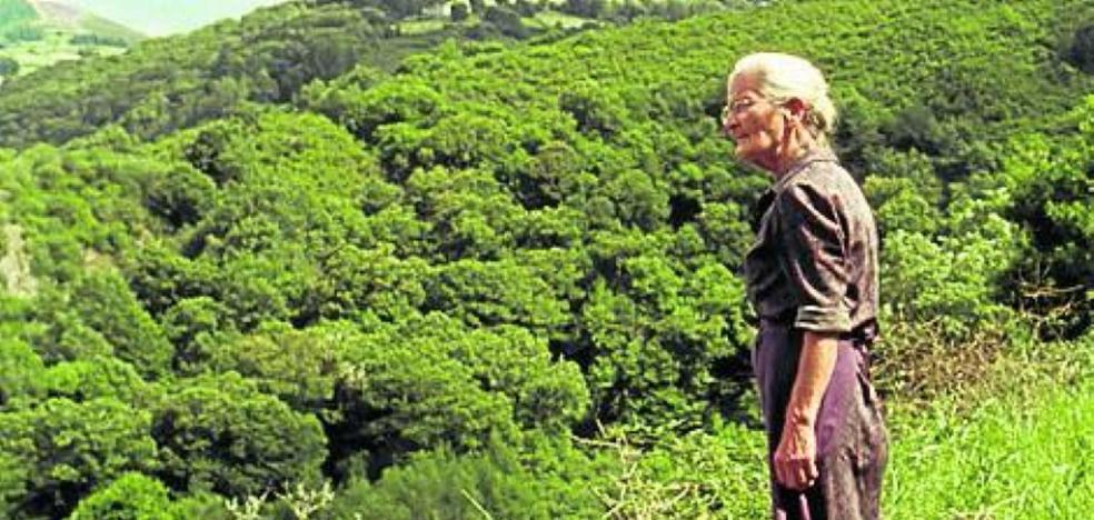 Cine+Food desarrolla un ciclo en el Museo Elder para generar una conciencia medioambiental - Vimarsana News