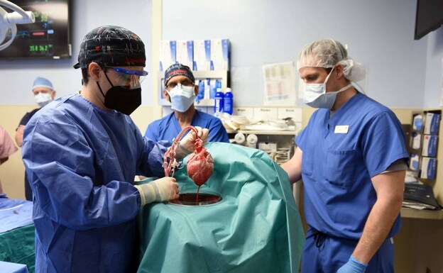 Un cirujano en el momento de trasplantar el corazón a David Bennet. 