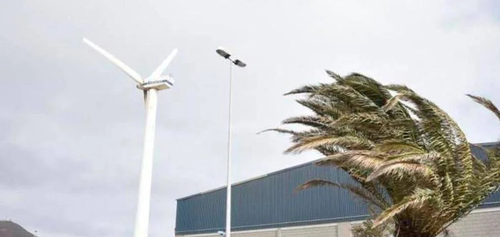 The ULPGC and the ULL suspend all their activities due to the wind storm