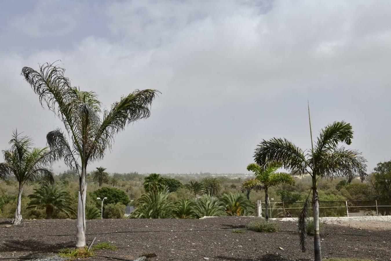 La calima vuelve a cubrir Canarias