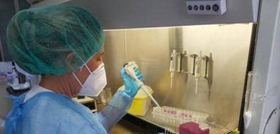 The Canary Islands register an average of 1,800 daily infections since Tuesday