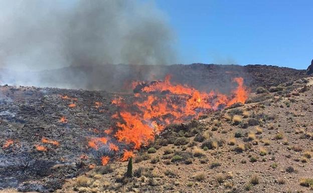 Incendio en el Parque Nacional del Teide, Tenerife. /Diario de Avisos