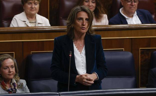 The vice president, Teresa Ribera, in Congress in a file image. 