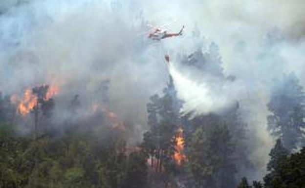 Imagen de la lucha contra las llamas con medios aéreos en el incendio de Tenerife. 