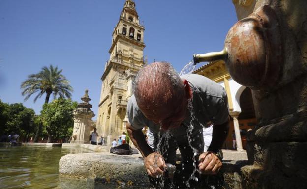 A man cools off in the fountain in the courtyard of the orange trees of the Mosque-Cathedral of Córdoba.