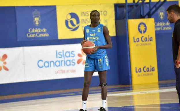 Adji Fall, one of the young talents of CB SPAR Gran Canaria. 