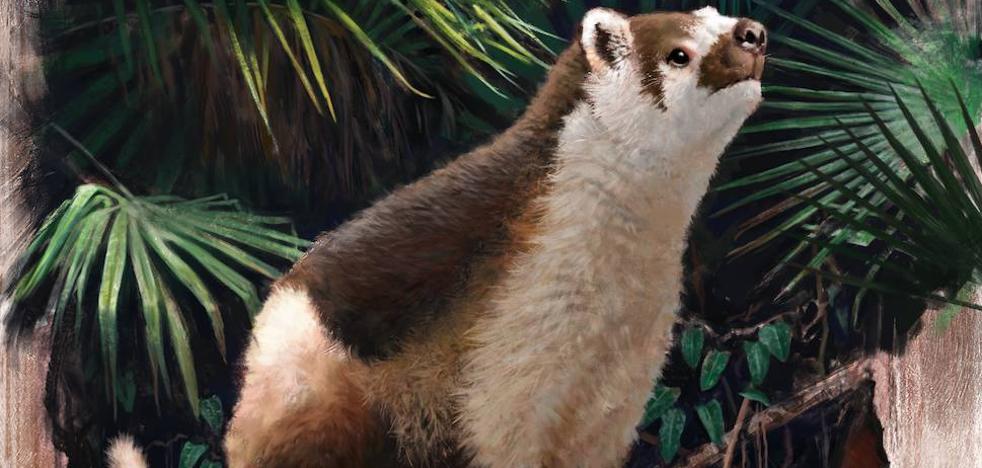 Early mammals lived fast and died young