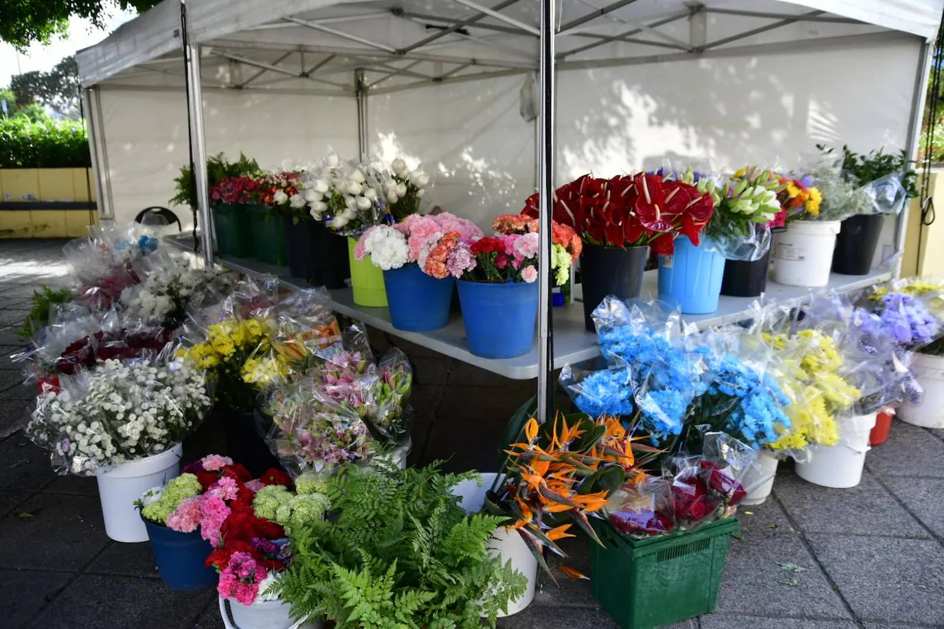 Fotos: Las flores se adueñan de los cementerios | Canarias7