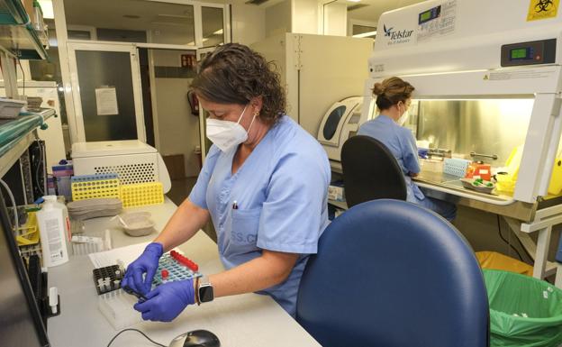 Foto de archivo de dos sanitarias trabajando en la secuenciación de unas muestras en el laboratorio de Microbiología del hospital Doctor Negrín. 