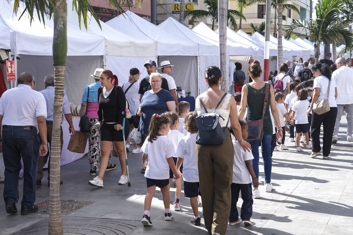 La Feria del Sureste llena de identidad la Avenida de Canarias