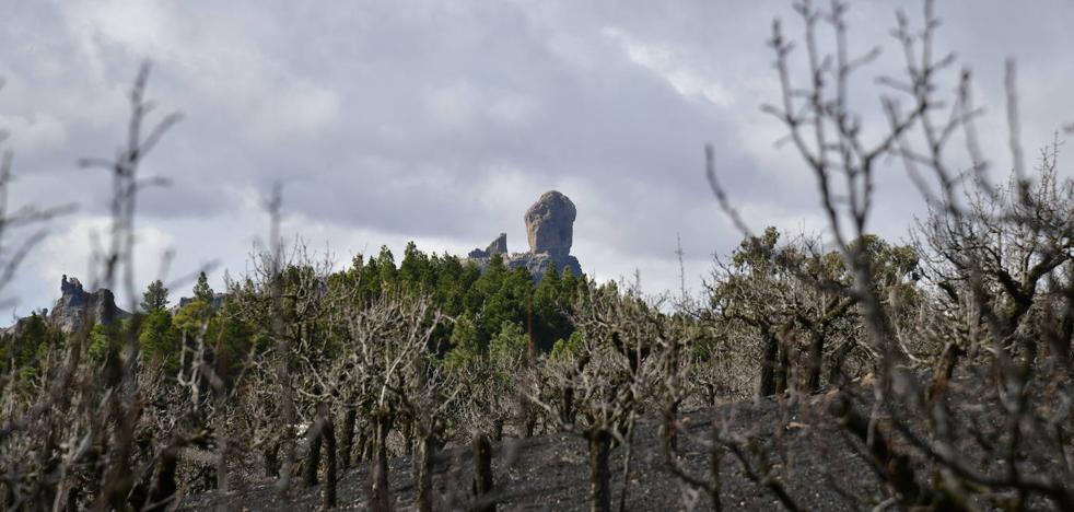 Un estudio del Involcan constata que Gran Canaria sigue volcánicamente ...